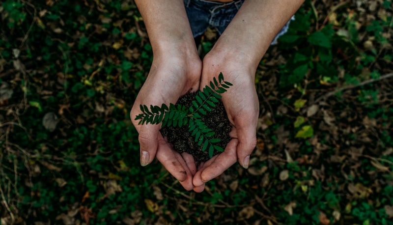 Environment & Ecosystem